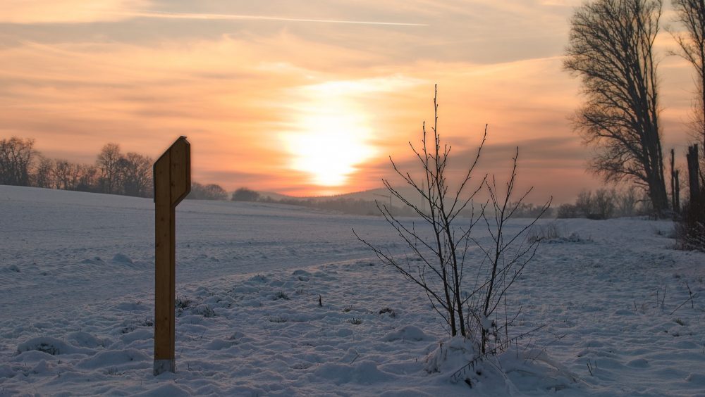 Winter Weg der Bäume 1