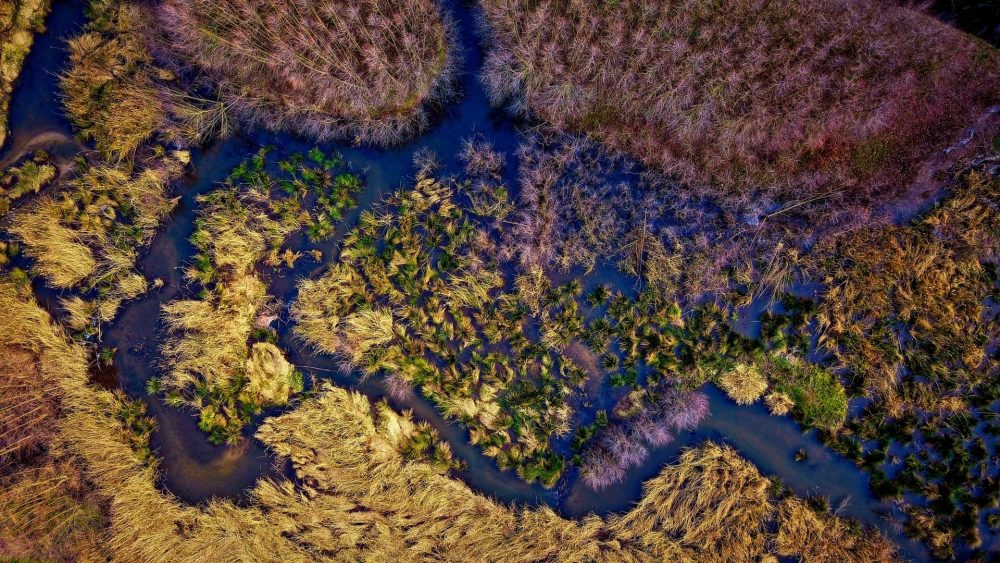 Renaturierung West Slider ONE